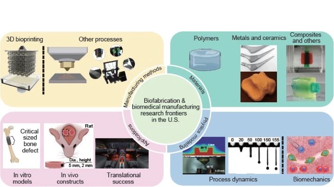 Biofabrication and biomedical manufacturing research frontiers in the U.S.